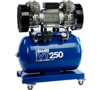Компрессор с осушителем BAMBI VT250D