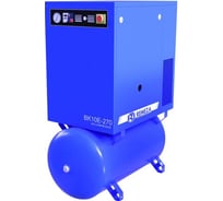 Компрессор Remeza ВК 10E-15-270 8106910