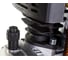Компрессор Elitech КПМ 200/50 Промо 5