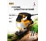 Электролобзик JCB 800W, 500-3000 ход/мин JCB-JS800-E(57244) 2