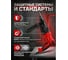 Перфоратор WORTEX RH 2621 в чем. + (2 зубила, 3 сверла) 1333519 ЦЗ-8805525633 8