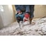 Перфоратор Bosch GBH 3-28 DRE 0.611.23A.000 11