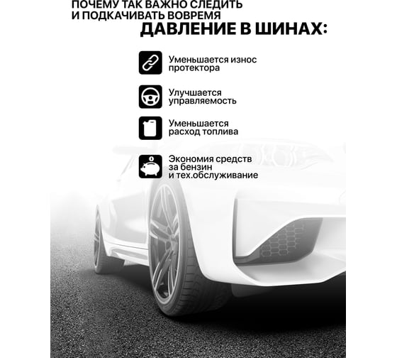 Пистолет для подкачки универсальный Scheppach набор 12 предметов Sch-8031K12-G(65738)