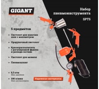 Набор пневмоинструмента Gigant SPT5