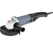 Сетевая УШМ (болгарка) Profipower PGS-1200R (1100 Вт, 125мм, 11000 об/мин, регулятор оборотов, в коробке) E0005