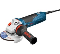 Угловая шлифмашина Bosch GWS 17-125 CIE 0.601.796.0R3