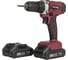 Дрель-шуруповерт аккумуляторная Pioneer CD-M2012C USP 2