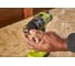 Дрель-шуруповерт Ryobi 18В RPD18BL1-2C42S 5133006138 3