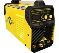 Сварочный инверторный аппарат MATEUS TIG/MMA-200 MS08901