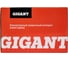 Инверторный сварочный аппарат Gigant GWM-250AS 19