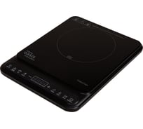 Настольная индукционная плита OASIS making everywhere РI-BG3S