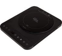 Настольная индукционная плита OASIS making everywhere РI-BK3S
