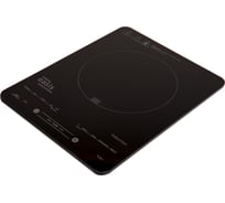 Настольная индукционная плита OASIS making everywhere РI-B24SL