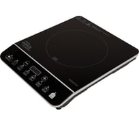 Настольная индукционная плита OASIS making everywhere РI-BS3S