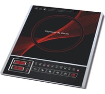 Индукционная плитка Zigmund & Shtain zip-555 ЦБ-00001107