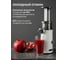 Соковыжималка шнековая Galaxy Line GL0807, 7020708070 4
