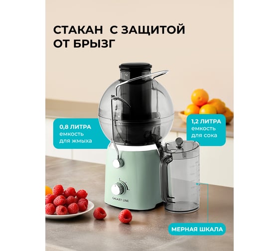 Соковыжималка электрическая Galaxy LINE GL 0811 свежая мята 7020708116