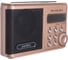 Мини аудио Perfeo Sound Ranger УКВ FM MP3 шампанское золото 30008712 1