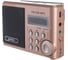 Мини аудио Perfeo Sound Ranger УКВ FM MP3 шампанское золото 30008712 2