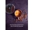 Кофемолка BQ CG1001 Coffee 86190102 8