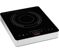 Индукционная плитка Tesler PI-15 00000201166