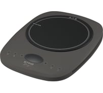 Электрическая индукционная безимпульсная плитка STINGRAY ST-HP3501A серый 42500