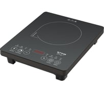 Электрическая индукционная безимпульсная плитка STINGRAY ST-HP3502A серый 39977