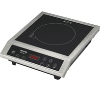 Электрическая индукционная безимпульсная плитка STINGRAY ST-HP3510A сталь 39986