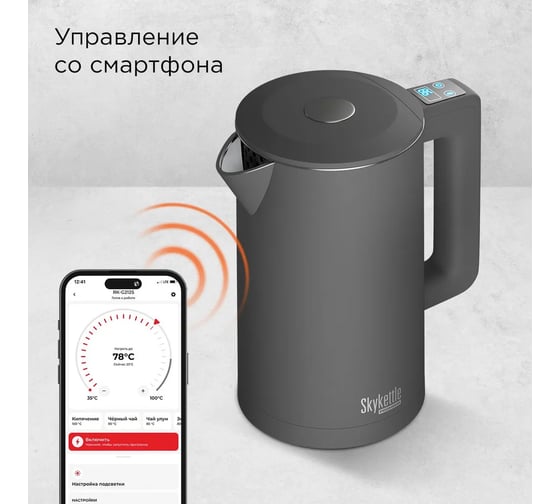 Чайник Redmond SkyKettle серый KM231S
