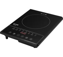Электроплитка STINGRAY ST-HP3521A черный 42652
