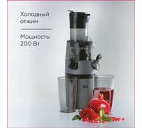 Соковыжималка BQ J2000 серый-черный 86196655