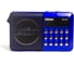 Радиоприемник СИГНАЛ electronics Сигнал РП-222, FM 88-108 МГц, акб 400 mA/h 17823 1