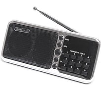 Радиоприемник СИГНАЛ electronics Сигнал РП-226, FM 64-108 МГц, акб 1100 mA/h, USB/microSD, 17828