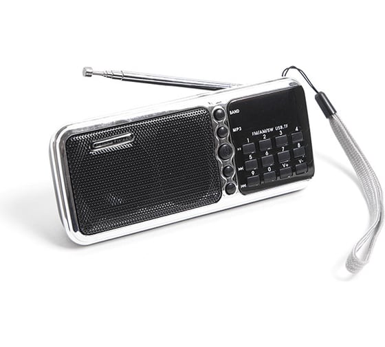 Радиоприемник СИГНАЛ electronics Сигнал РП-226, FM 64-108 МГц, акб 1100 mA/h, USB/microSD, 17828