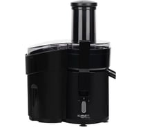 Соковыжималка Scarlett SC-JE50P02