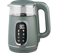 Чайник двухстенный электрический Atlanta ATH-2540 green