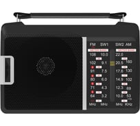 Радиоприемник RITMIX RPR-190 80000589