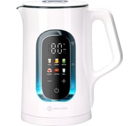 Электрический чайник EVOLUTION с терморегулятором KG15153 LCD