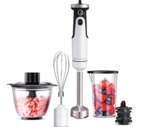 Погружной блендер 5 в 1 EVOLUTION HBS-0651 White