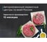 Мясорубка KORTING KMG 0601 Infinity 00000020937 5