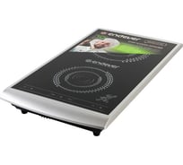 Электрическая индукционная плитка Endever IP-55 90206