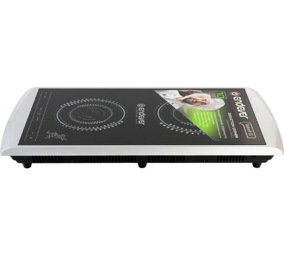 Электрическая индукционная плитка Endever IP-55 90206