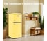Холодильник TESLER RT-152 YELLOW 00000203648 7
