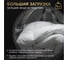 Стиральная машина с фронтальной загрузкой Harper HWMD 14106 IS Inverter Steam H00004554 4