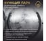 Стиральная машина с фронтальной загрузкой Harper HWMD 14106 IS Inverter Steam H00004554 7