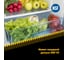 Смазка для кухонной техники EFELE 20 г 0098135 6