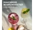 Блендер настольный Zigmund & Shtain BS-488 D ЦБ-00006755 11