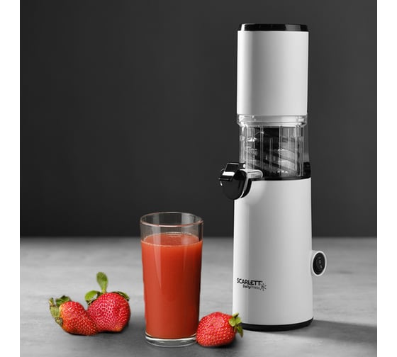 Соковыжималка Scarlett SC-JE50S59