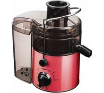 Соковыжималка Scarlett SC-JE50S19