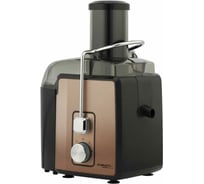 Соковыжималка Scarlett SC-JE50S24